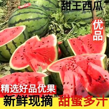 【精品】陕西浦城甜王西瓜基地直供批发价格优惠