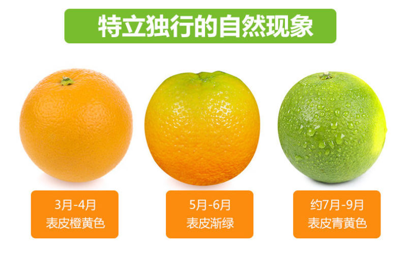 赣南脐橙，吃过的都知道，好吃没有毛病，支持一件代发