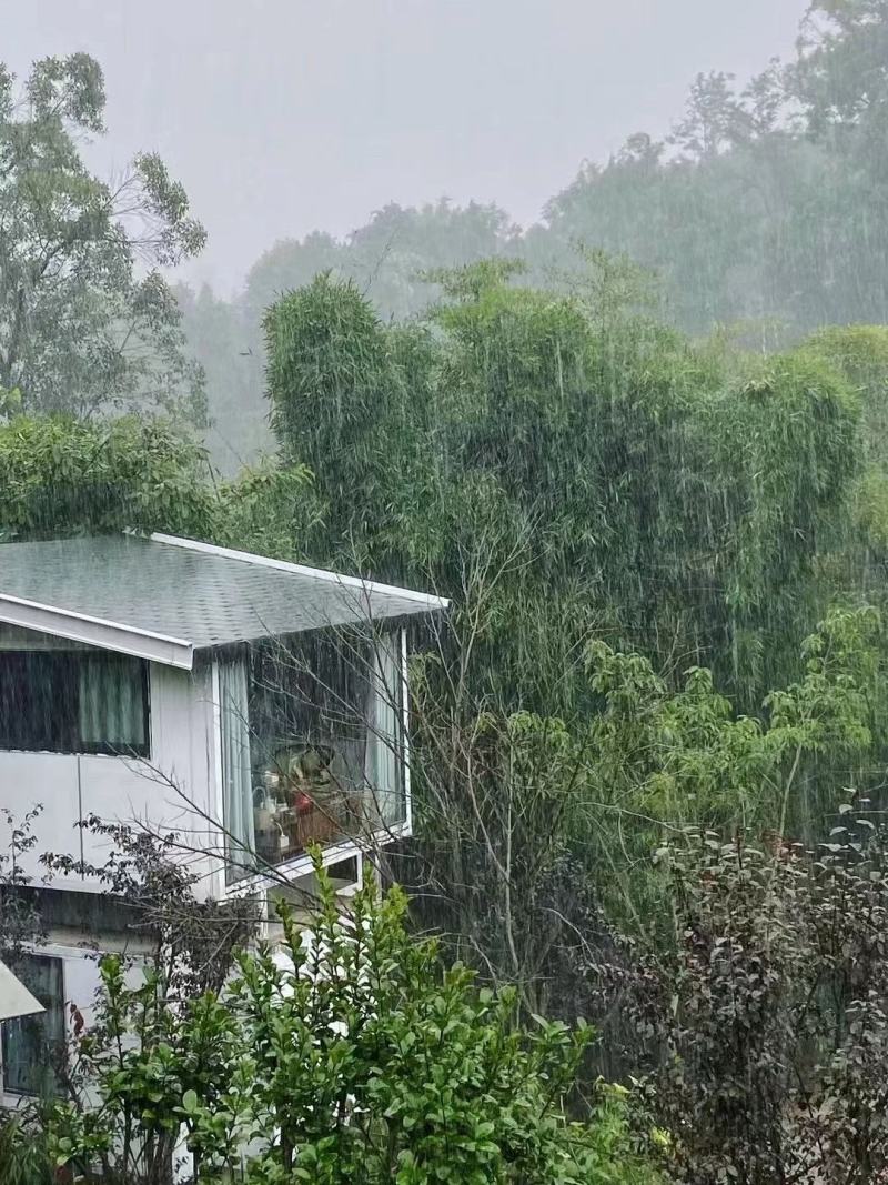 重庆江津田园小院带一到两亩院子出售