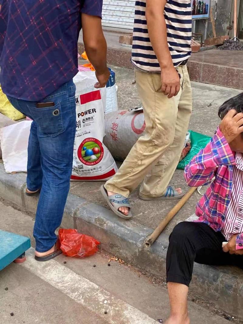 各种柑橘枳实枳壳大量上市供应，广西产地直供，欢迎医药客户