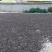 各种柑橘枳实枳壳大量上市供应，广西产地直供，欢迎医药客户