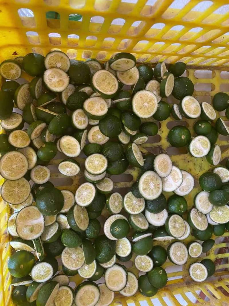 各种柑橘枳实枳壳大量上市供应，广西产地直供，欢迎医药客户