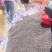 各种柑橘枳实枳壳大量上市供应，广西产地直供，欢迎医药客户