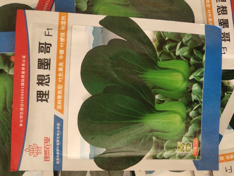 苏州青，叶色黑亮。中腰。叶梗绿，耐热耐湿，