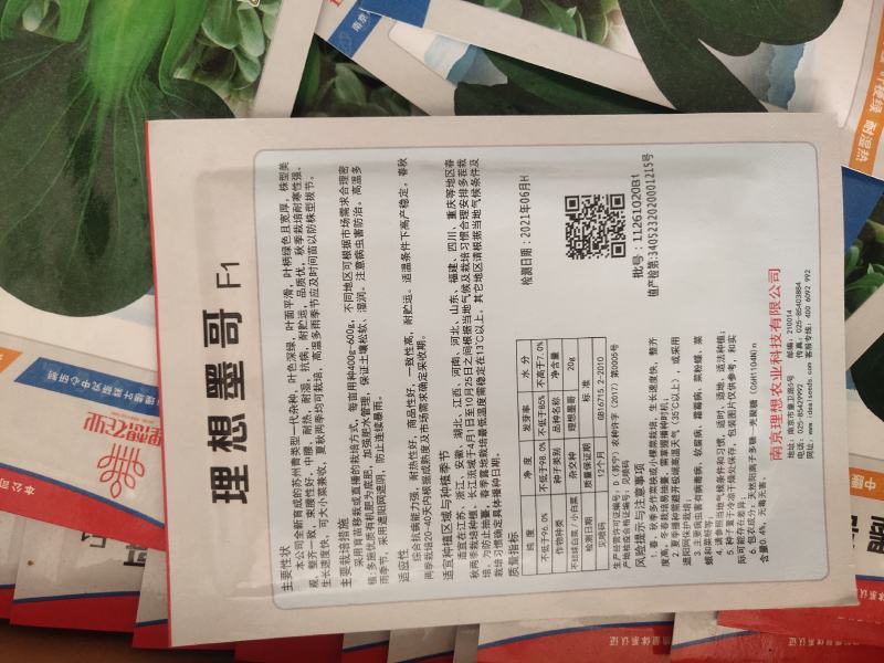 苏州青，叶色黑亮。中腰。叶梗绿，耐热耐湿，