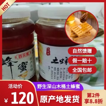农家自产自销土蜂蜜百花蜜原生态蜂蜜一手货源量大优惠