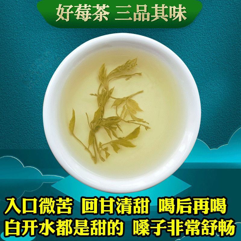 新茶龙须莓茶清明前张家界野生霉茶嫩芽茅岩茶藤茶咽喉