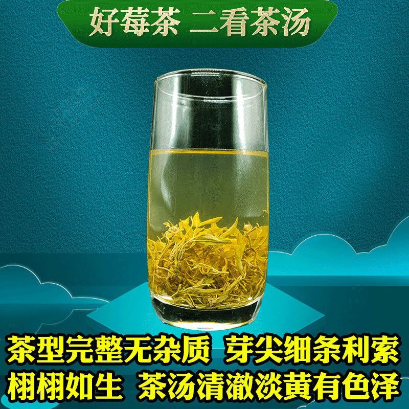 新茶龙须莓茶清明前张家界野生霉茶嫩芽茅岩茶藤茶咽喉