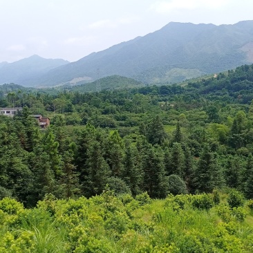 丁财双全小地，申山，朝案秀丽