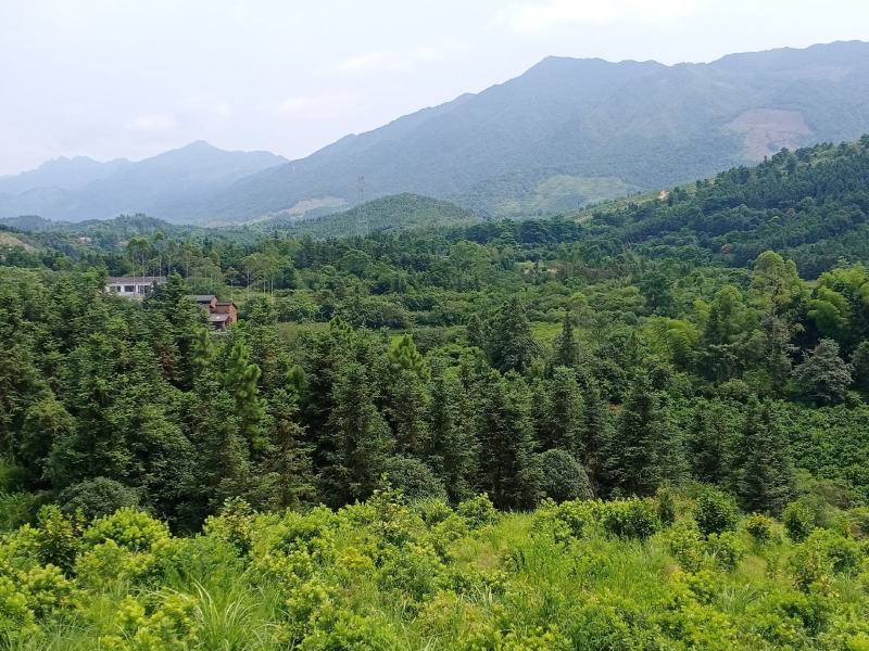 丁财双全小地，申山，朝案秀丽