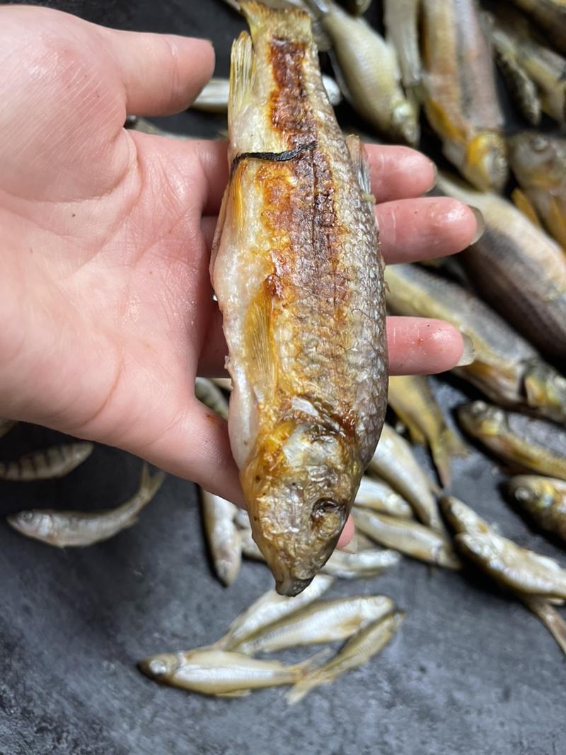 江西特产鱼干，石斑鱼，马口鱼、火焙鱼，纯野生柴火烟熏的