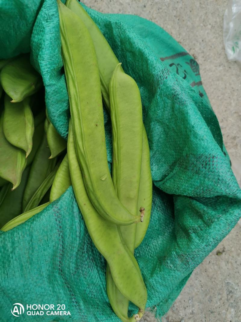 新鲜刀豆，精品现货