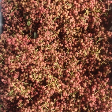 大量收大红袍花椒