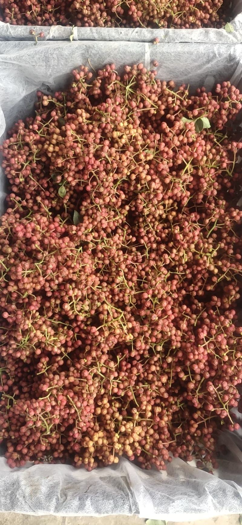 大量收大红袍花椒