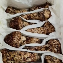 松茸，中国松茸之乡，雅江松茸，食用菌鲜货