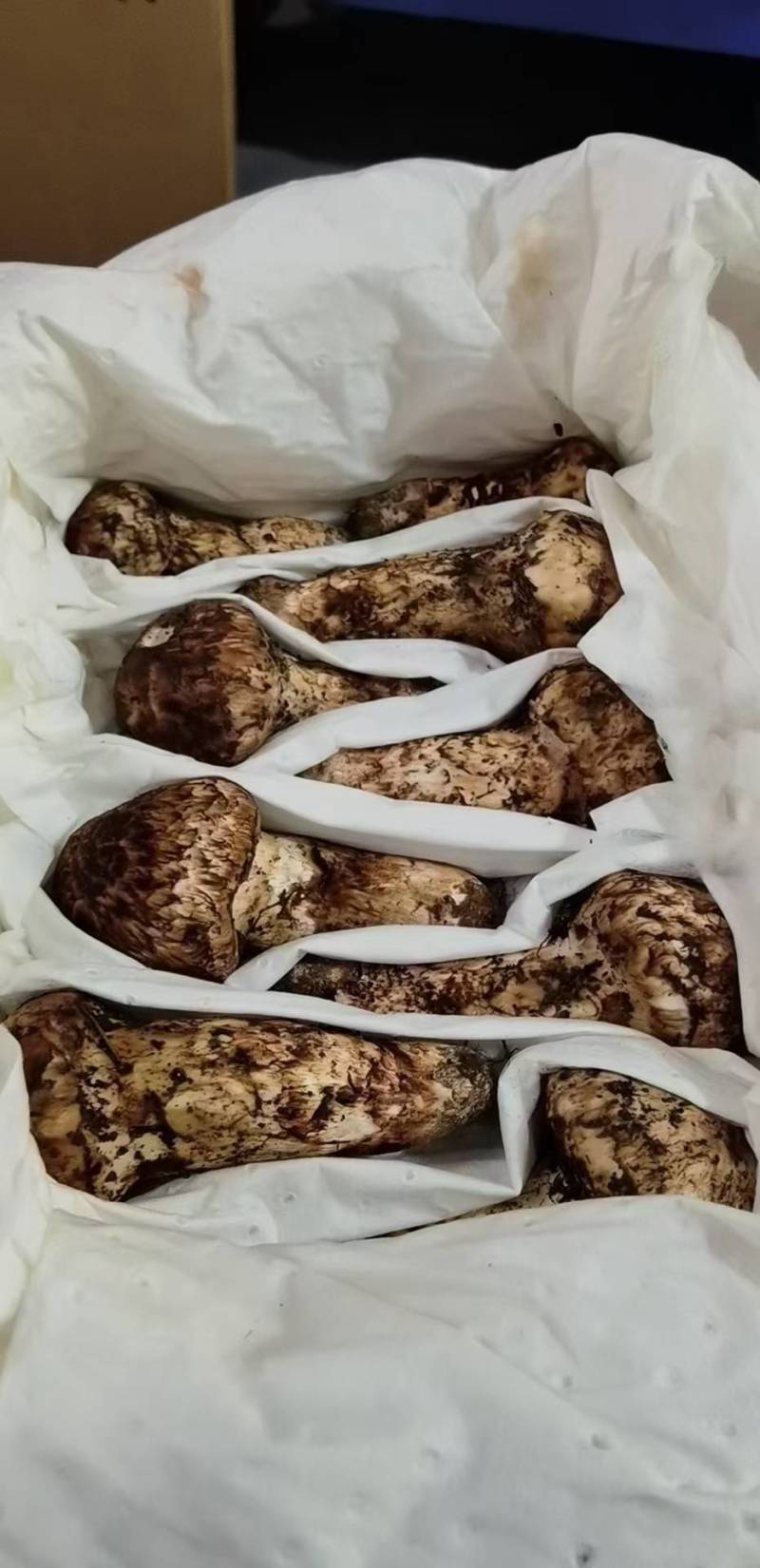 松茸，中国松茸之乡，雅江松茸，食用菌鲜货