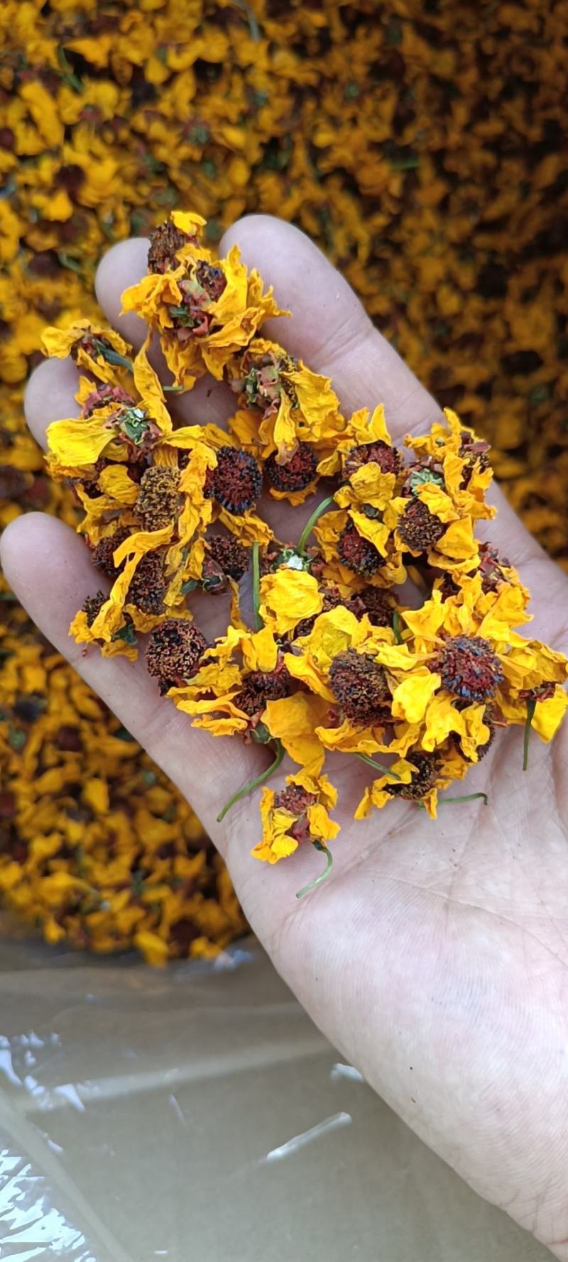 昆仑雪菊特级野生雪菊花茶清热去火，货源稳定，价格实惠