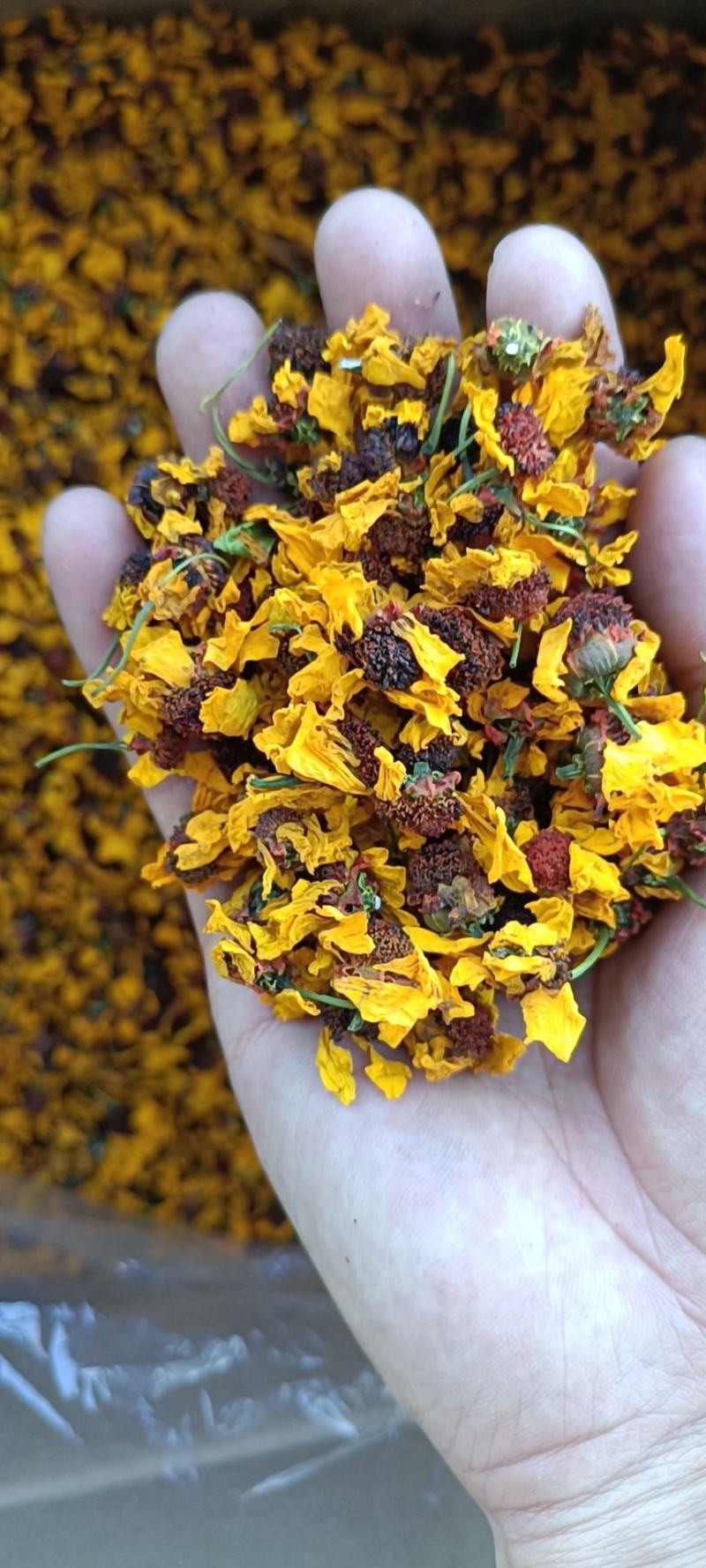 昆仑雪菊特级野生雪菊花茶清热去火，货源稳定，价格实惠