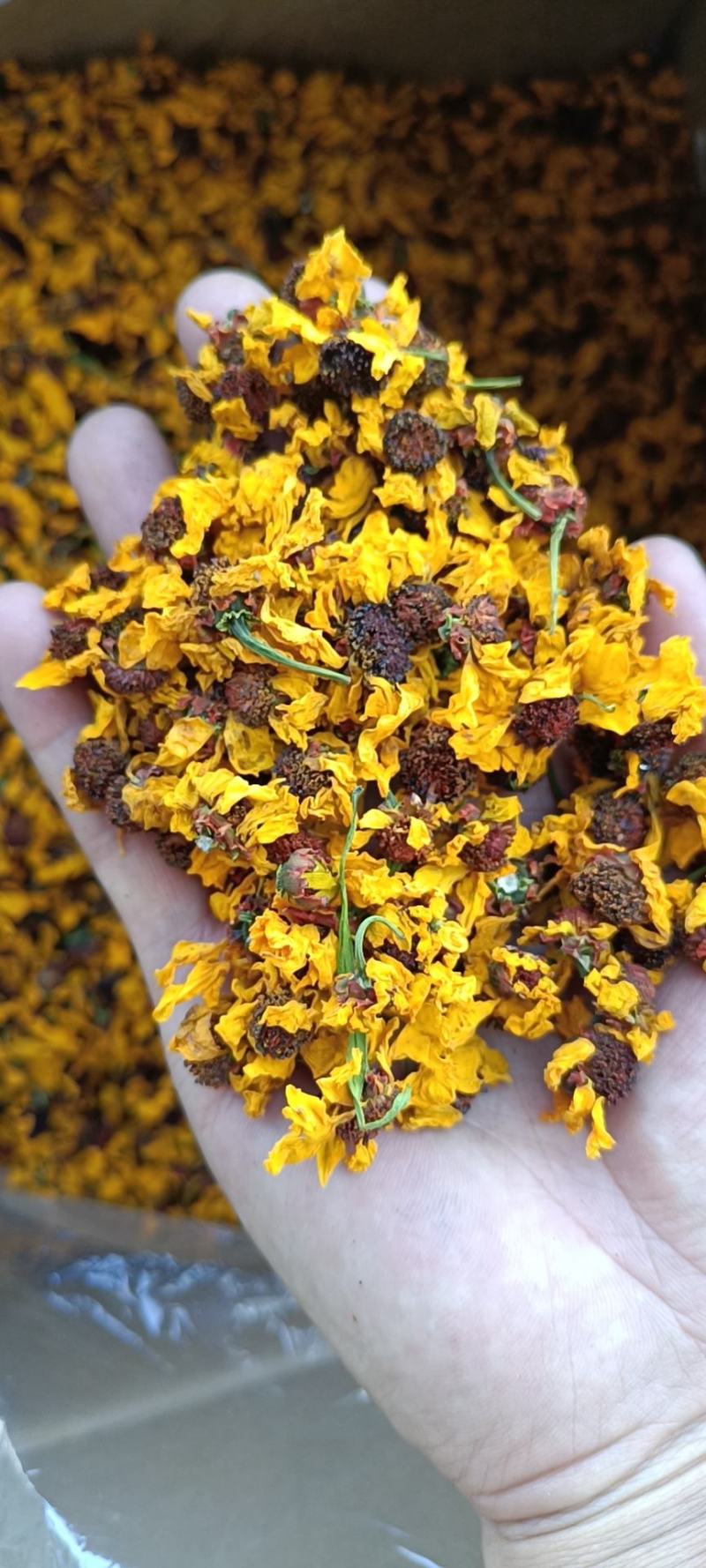 昆仑雪菊特级野生雪菊花茶清热去火，货源稳定，价格实惠