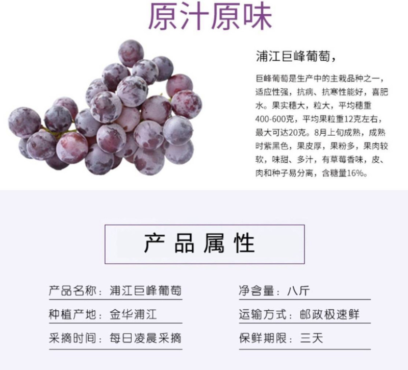 浦江巨峰