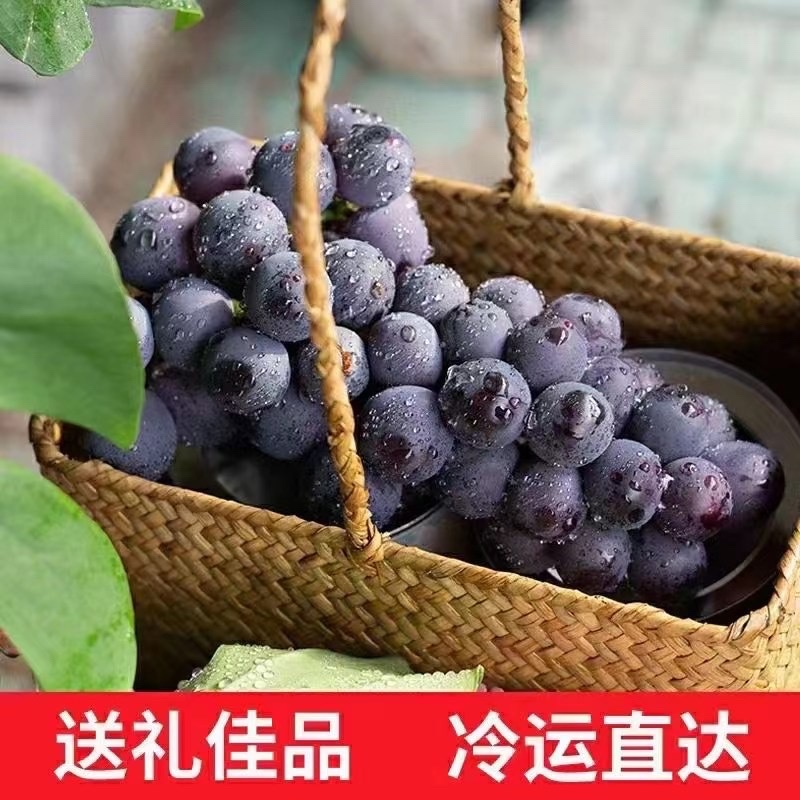 浦江巨峰