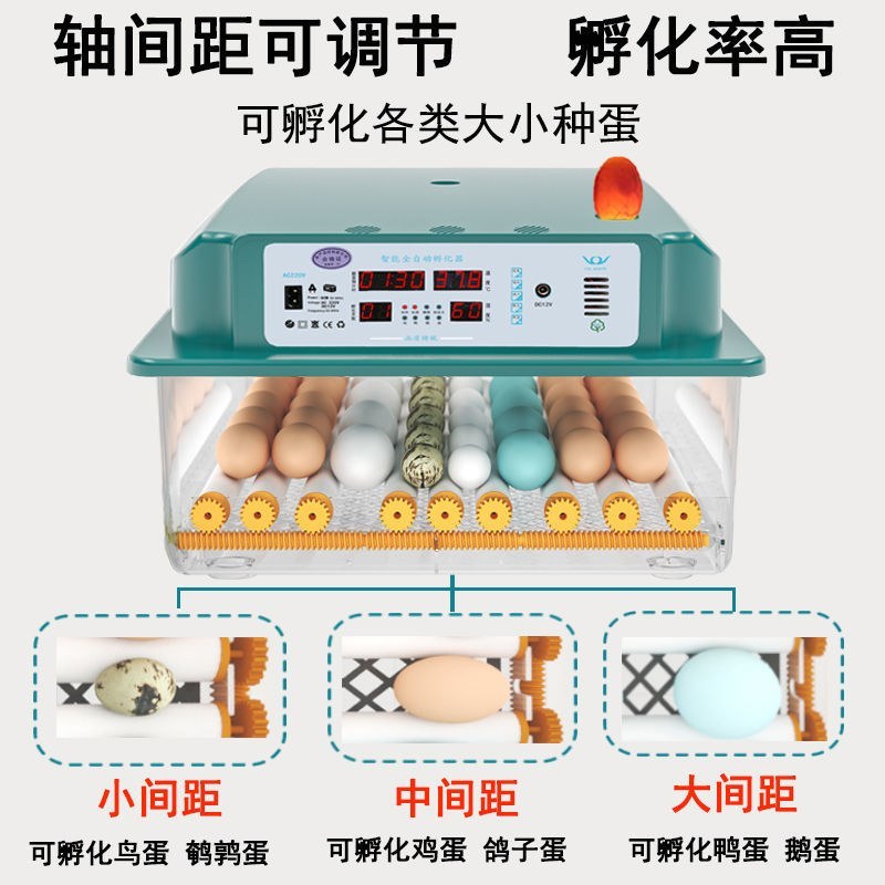 （包邮）孵化器智能孵化机全自动小型水床孵化箱家用型鸡鸭鹅