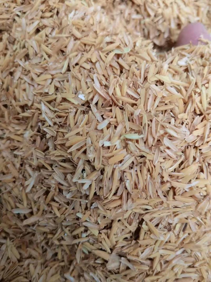 谷壳，湖南，广西、猪场，鸡场专用垫料