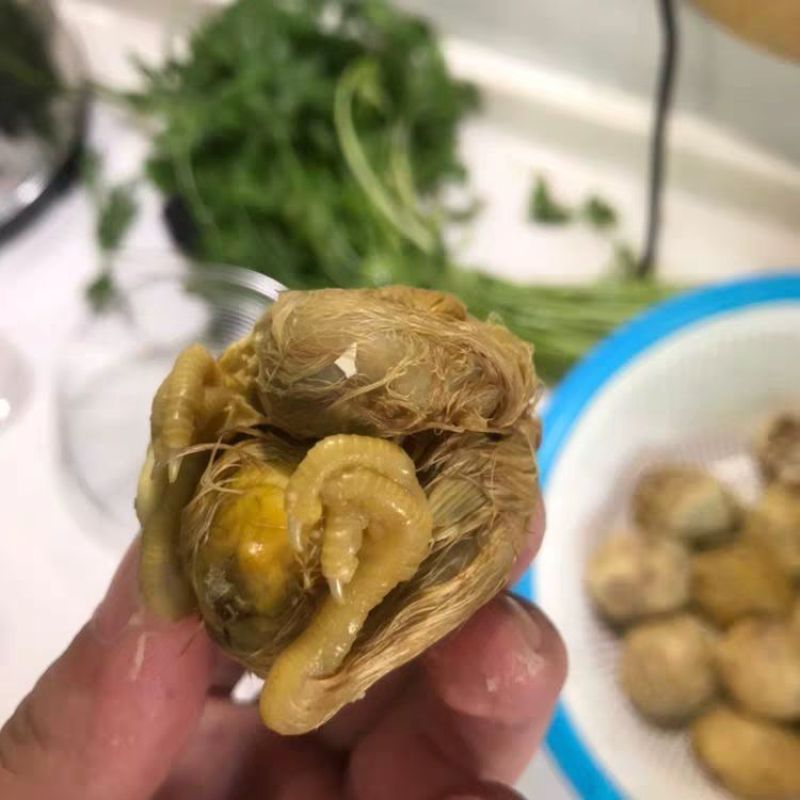 活珠子批发，毛蛋，实蛋。