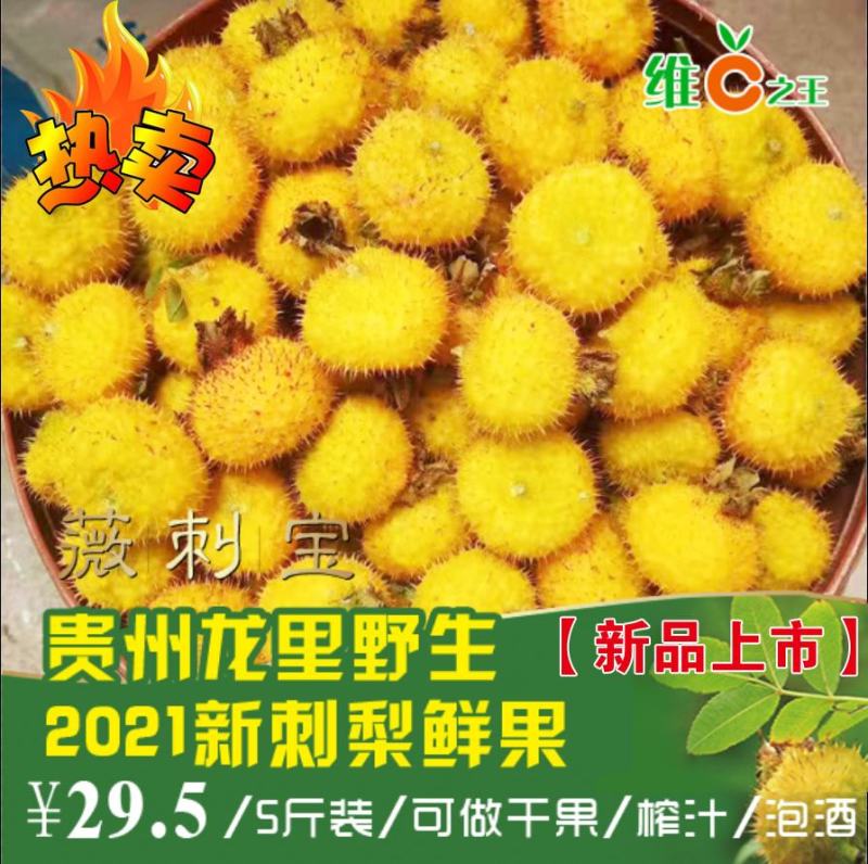 贵州刺梨鲜果2021年鲜刺梨vc果王现摘100公斤起售