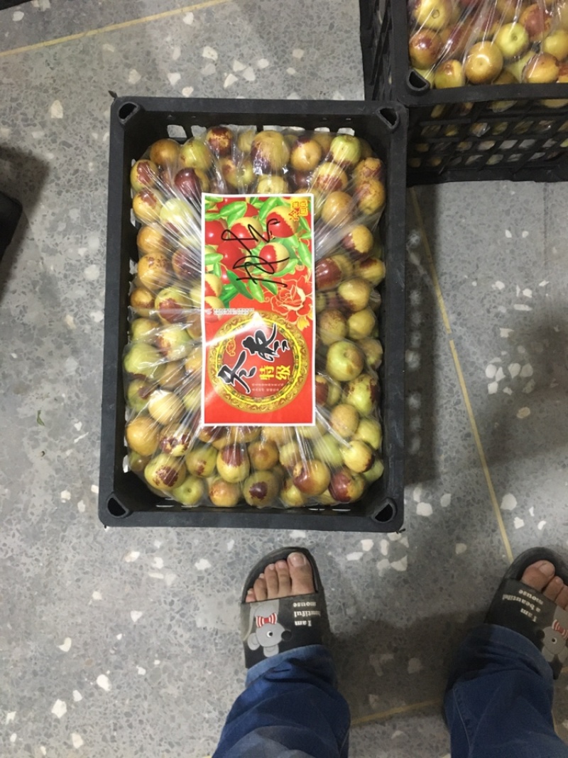 精品冬枣色泽鲜艳口感脆甜可视频看货一件代发
