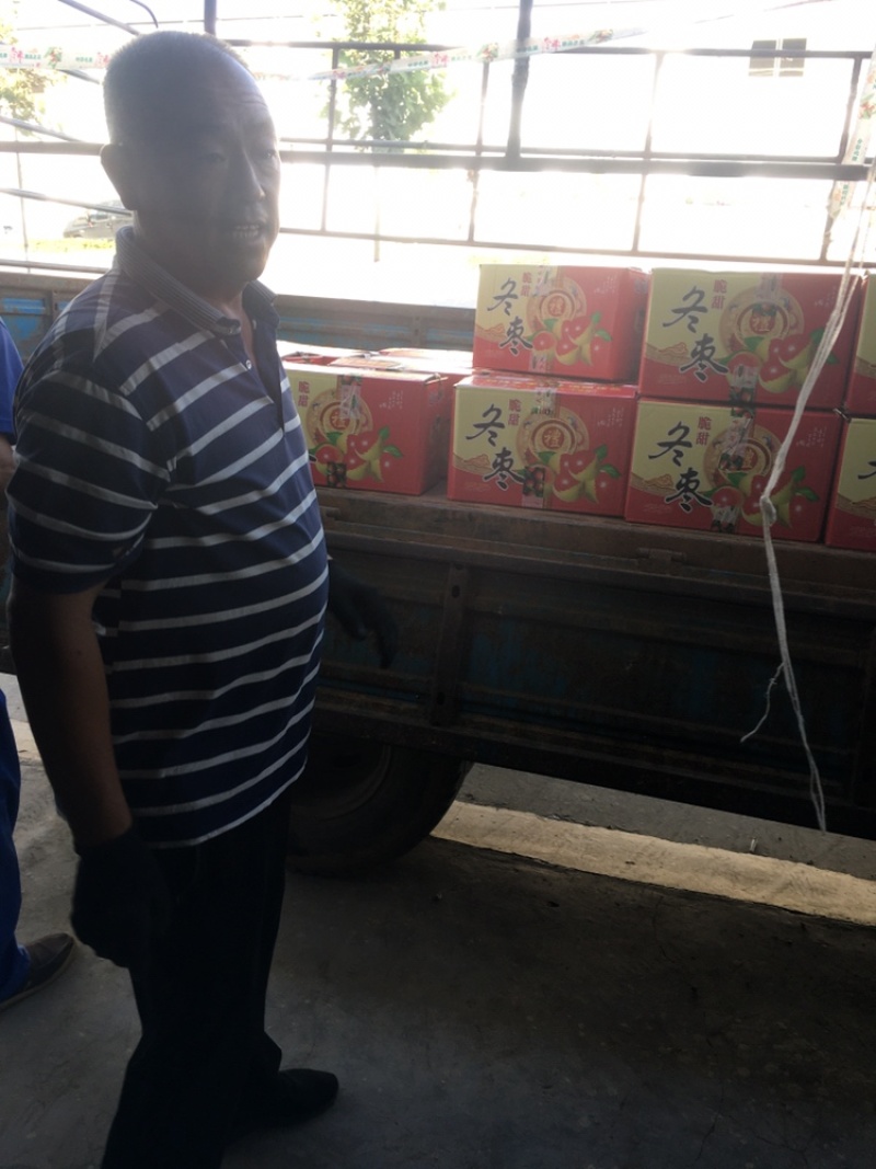 精品冬枣色泽鲜艳口感脆甜可视频看货一件代发