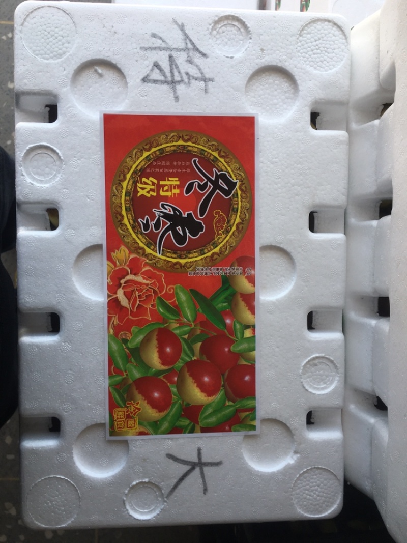 精品冬枣色泽鲜艳口感脆甜可视频看货一件代发