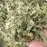 淫羊藿统装500g产地甘肃振兴药材购销站量大从优