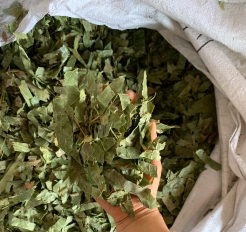 淫羊藿统装500g产地甘肃振兴药材购销站量大从优