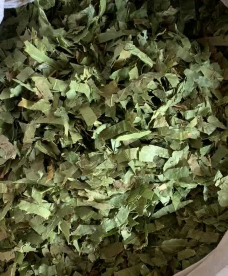 淫羊藿统装500g产地甘肃振兴药材购销站量大从优