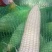 甜玉米