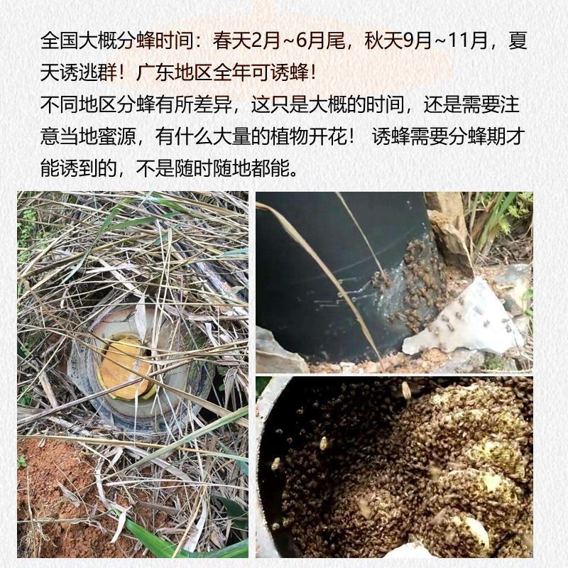 包邮诱蜂桶野外黑色塑料桶捕蜂器蜂箱招蜂引蜂桶诱蜂蜡收蜂笼