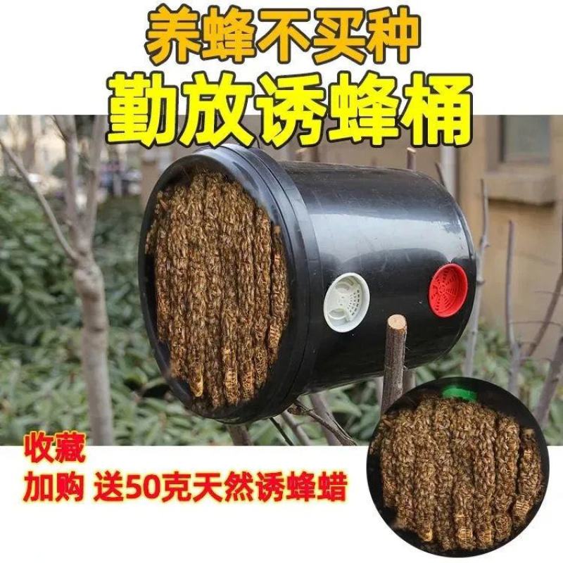 包邮诱蜂桶野外黑色塑料桶捕蜂器蜂箱招蜂引蜂桶诱蜂蜡收蜂笼