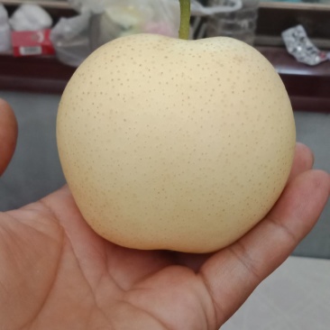 皇冠梨