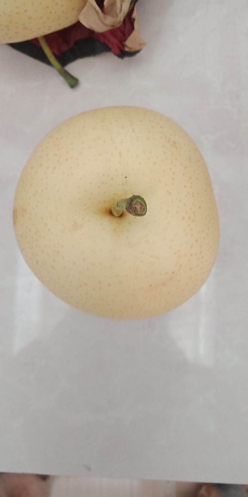 皇冠梨