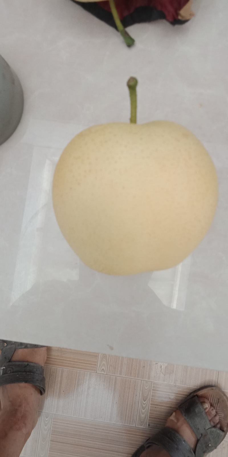 皇冠梨