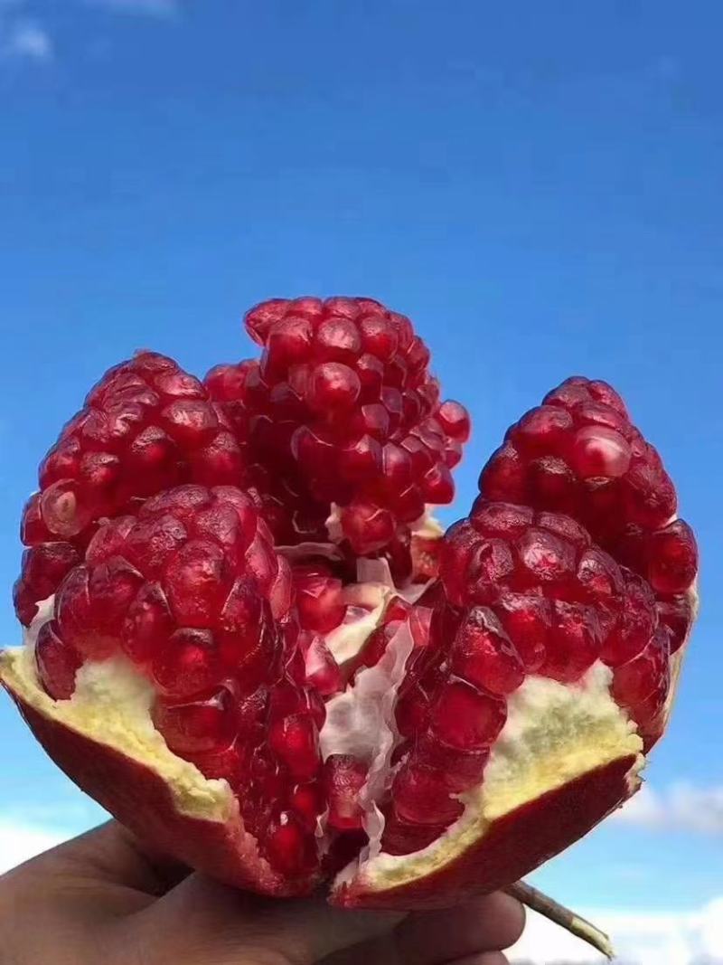 活动价，活动价，活动价