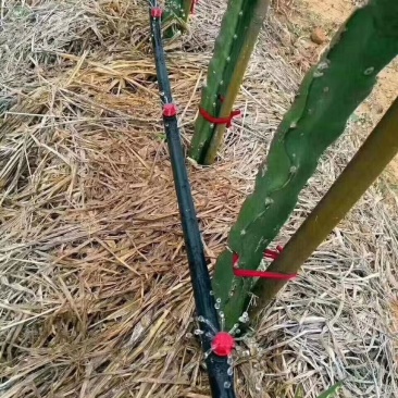 8孔红色流量可调滴头小红帽可调大小可拆洗压力补偿滴头4升