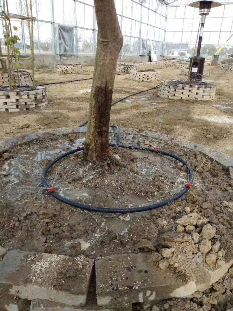 8孔红色流量可调滴头小红帽可调大小可拆洗压力补偿滴头4升
