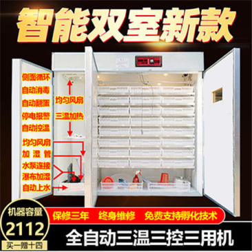 孵化器全自动家用孵化机鸡蛋孵化箱鸽子鹌鹑鸟鸭鹅中小型孵化