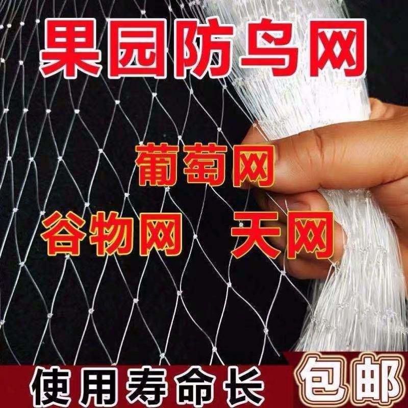 防鸟网果树果园养殖鱼塘防护隔离农用葡萄稻谷网麻雀