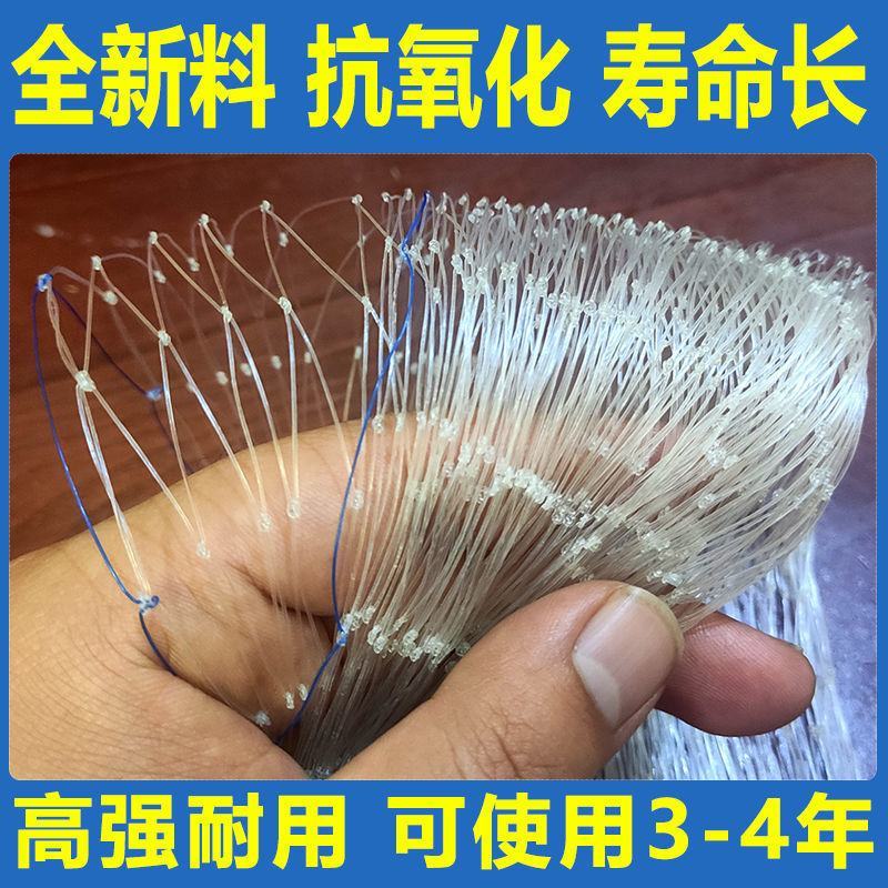 防鸟网果树果园养殖鱼塘防护隔离农用葡萄稻谷网麻雀