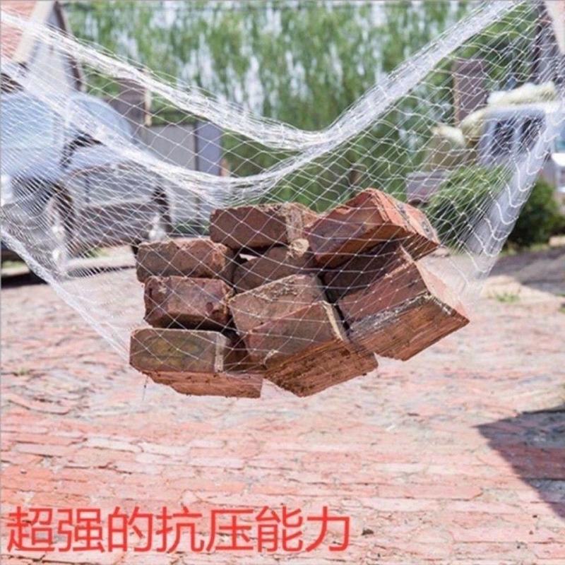 防鸟网果树果园养殖鱼塘防护隔离农用葡萄稻谷网麻雀