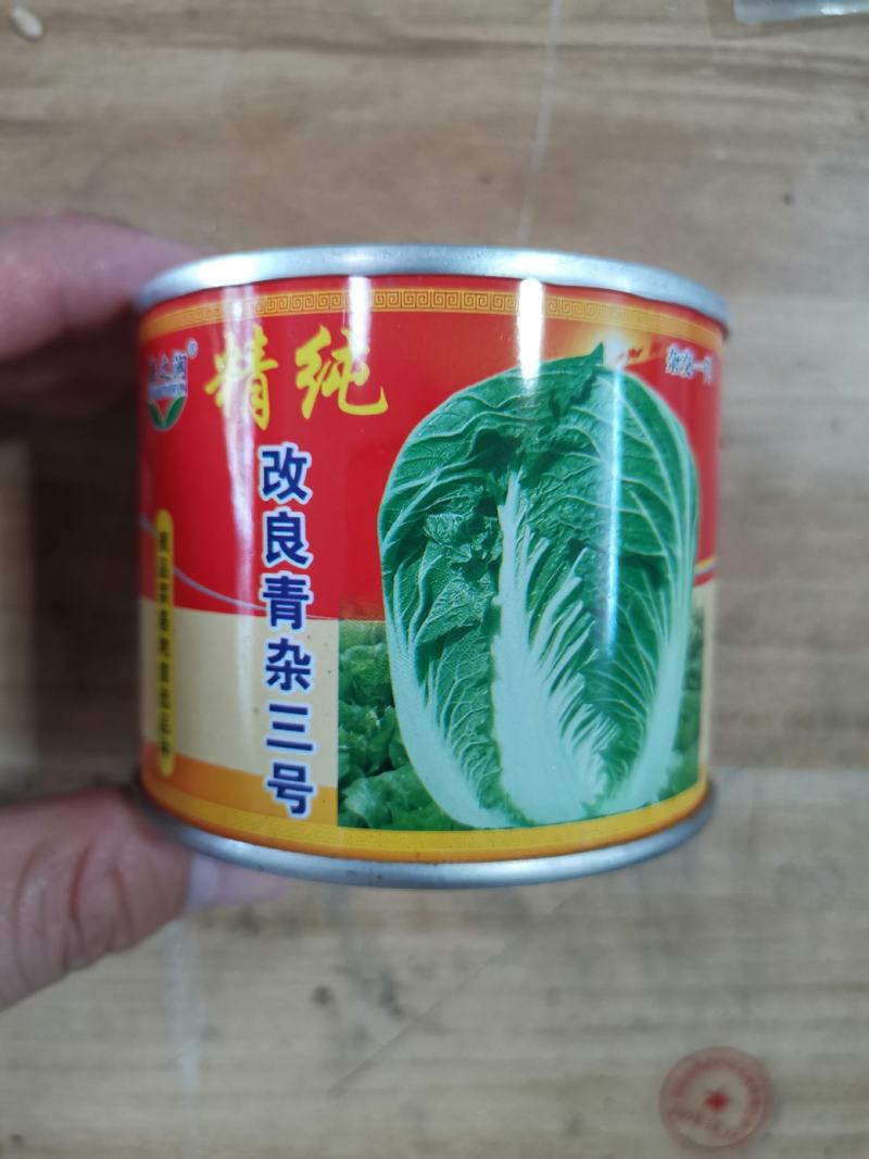 （精选）秋季高品质大白菜种子叶色浓绿个头大口感爽脆耐储运