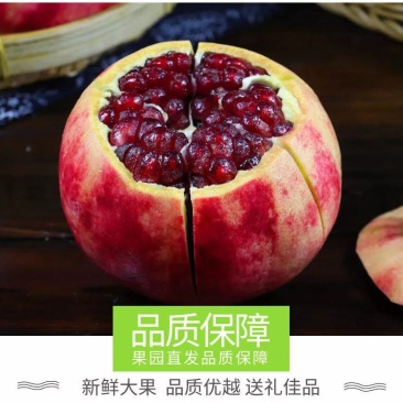 【精品】石榴四川会理软籽果产地直销可供商超，